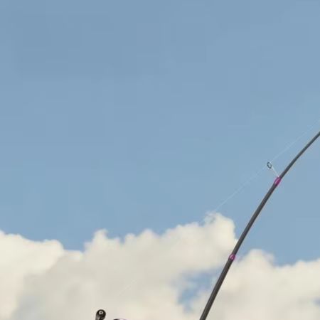 BFS専用Lアクション釣り竿、チタン製穂先、カーボンファイバ - Fishing Rod Carbon Fiber のレビューと価格
